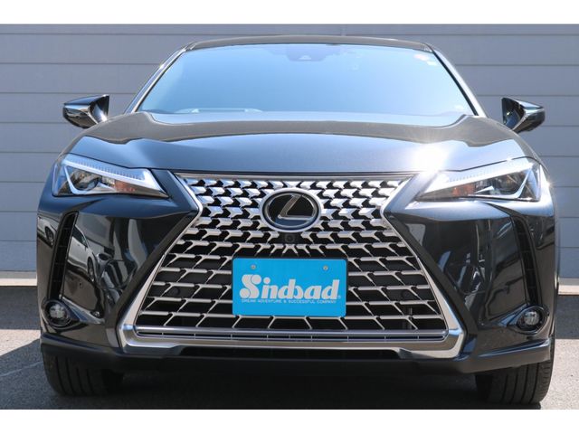TOYOTA LEXUS UX250H 2023 Image 31