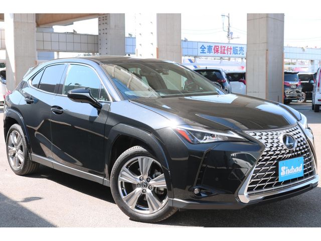 TOYOTA LEXUS UX250H 2023 Image 31
