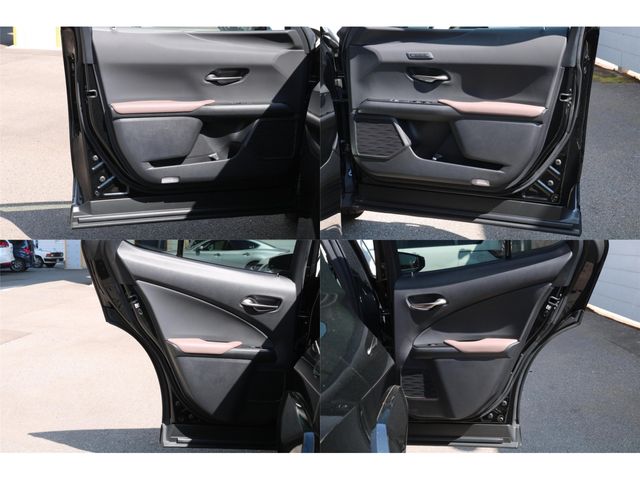 TOYOTA LEXUS UX250H 2023 Image 31