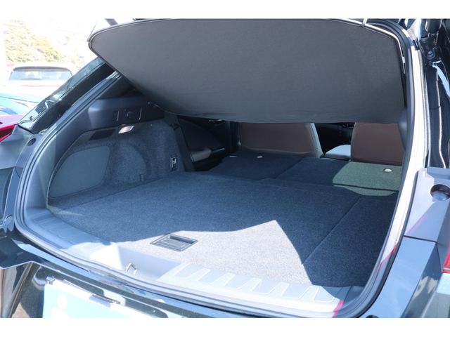 TOYOTA LEXUS UX250H 2023 Image 31