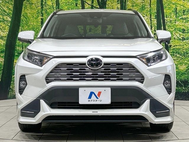 TOYOTA RAV4 4WD 2019 Image 31