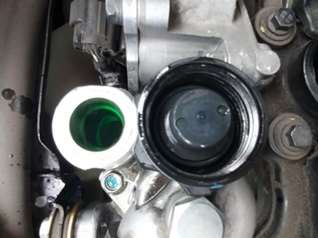 ISUZU ELF 2020 Image 31