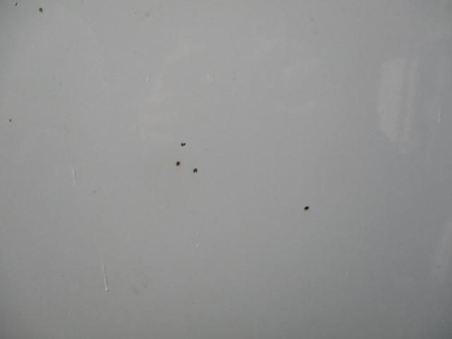 ISUZU FORWARD 2016 Image 31