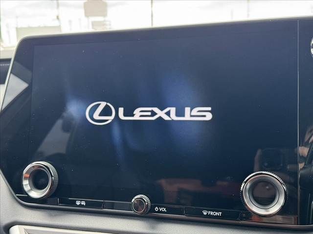 TOYOTA LEXUS RX500H 2024 Image 31