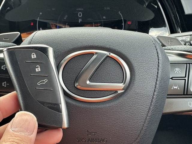 TOYOTA LEXUS RX500H 2024 Image 31