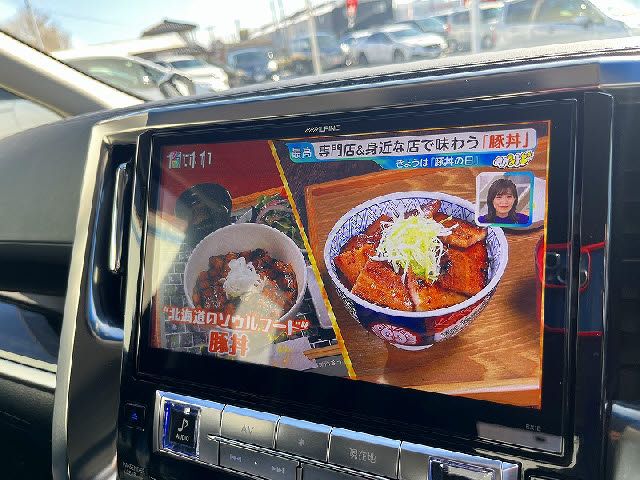 TOYOTA ALPHARD 2015 Image 31