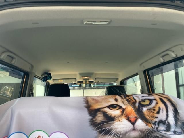 SUZUKI HUSTLER 2016 Image 31