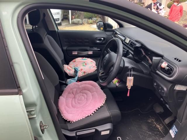 CITROEN C3 2019 Image 31