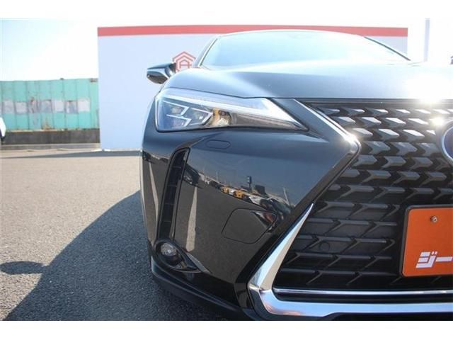 TOYOTA LEXUS UX300E 2021 Image 31