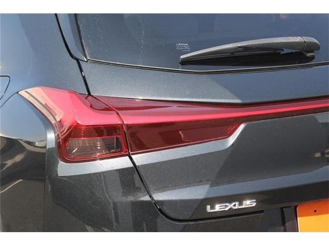 TOYOTA LEXUS UX300E 2021 Image 31