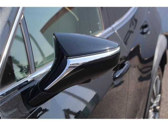 TOYOTA LEXUS UX300E 2021 Image 31