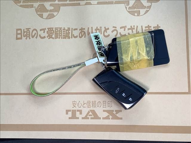 TOYOTA LEXUS RX450H+ 2023 Image 31