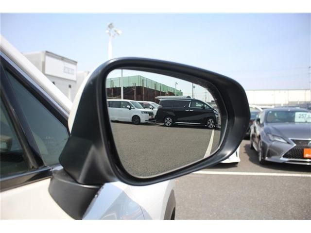 TOYOTA LEXUS NX300 AWD 2018 Image 31