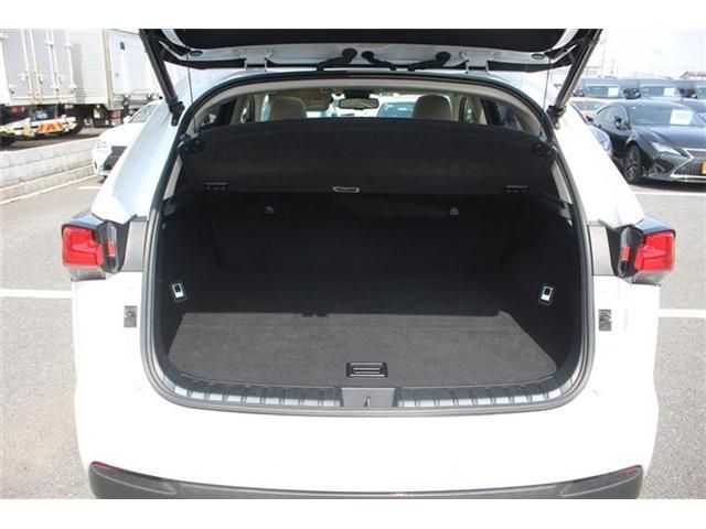 TOYOTA LEXUS NX300 AWD 2018 Image 31