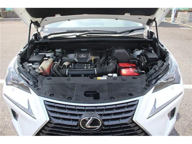 TOYOTA LEXUS NX300 AWD 2018 Image 31