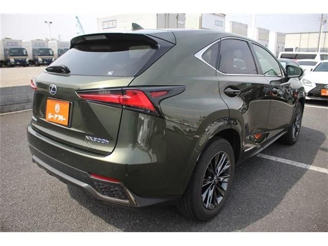 TOYOTA LEXUS NX300H AWD 2020 Image 31