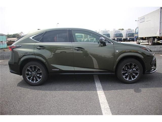 TOYOTA LEXUS NX300H AWD 2020 Image 31