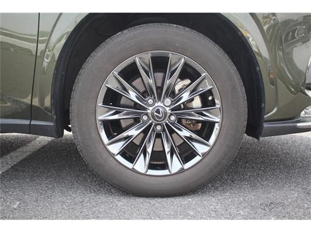 TOYOTA LEXUS NX300H AWD 2020 Image 31