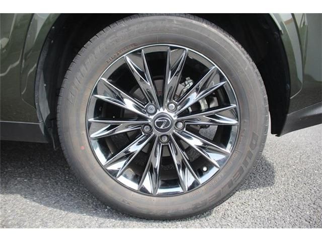 TOYOTA LEXUS NX300H AWD 2020 Image 31