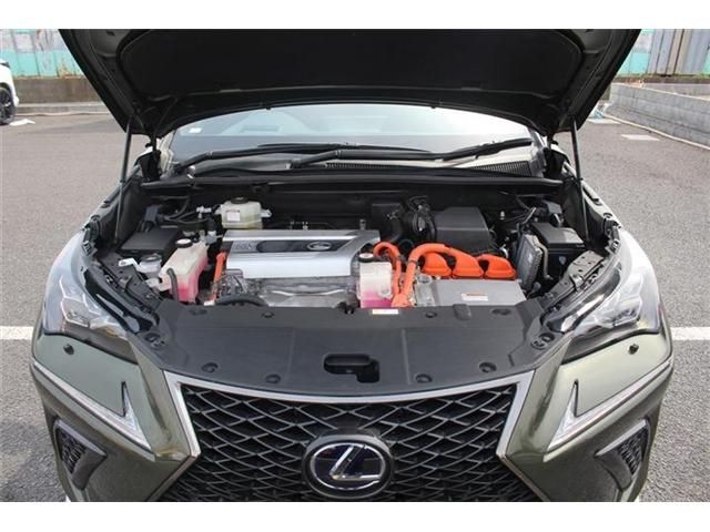 TOYOTA LEXUS NX300H AWD 2020 Image 31