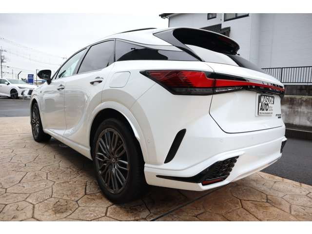 TOYOTA LEXUS RX500H 2024 Image 31