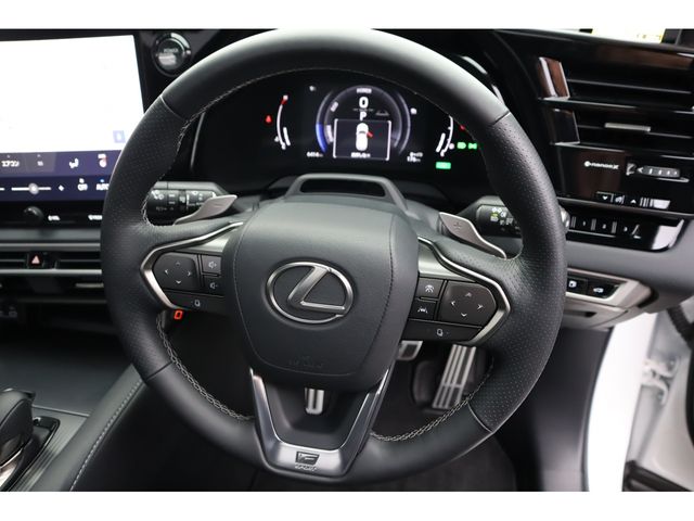 TOYOTA LEXUS RX500H 2024 Image 31