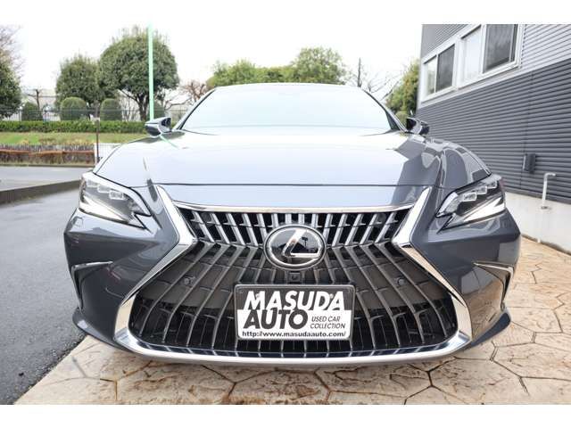 TOYOTA LEXUS ES300H 2023 Image 31