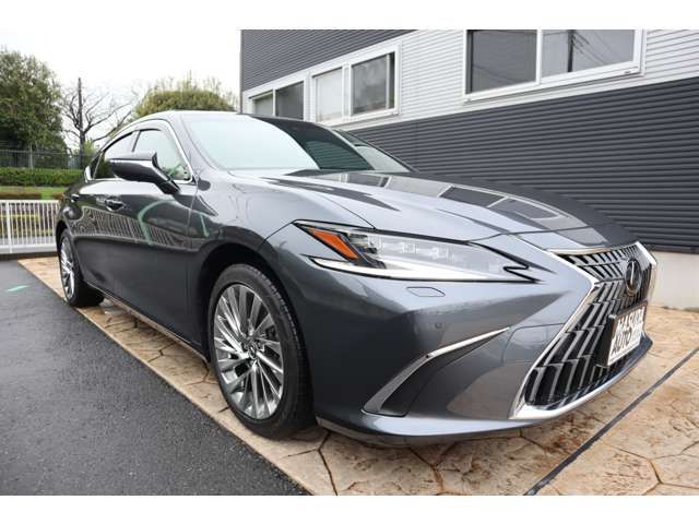 TOYOTA LEXUS ES300H 2023 Image 31