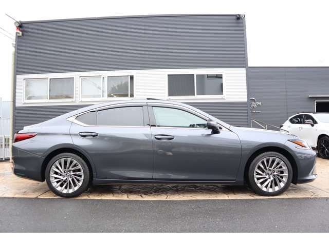 TOYOTA LEXUS ES300H 2023 Image 31