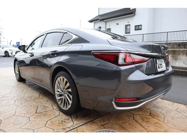 TOYOTA LEXUS ES300H 2023 Image 31