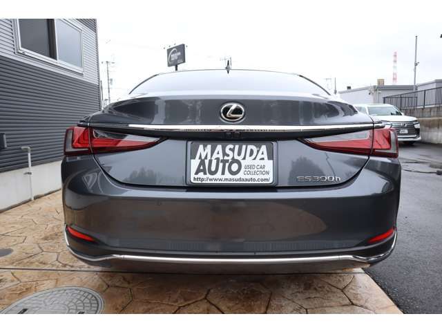TOYOTA LEXUS ES300H 2023 Image 31