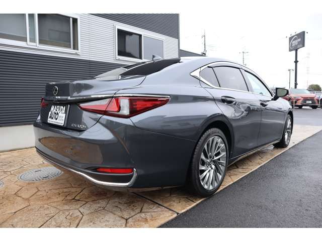 TOYOTA LEXUS ES300H 2023 Image 31