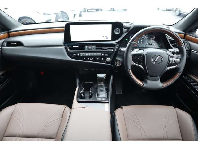 TOYOTA LEXUS ES300H 2023 Image 31