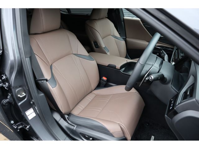 TOYOTA LEXUS ES300H 2023 Image 31