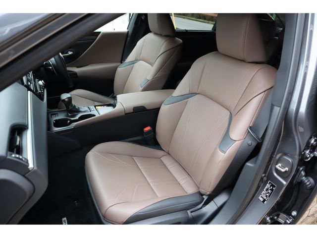 TOYOTA LEXUS ES300H 2023 Image 31