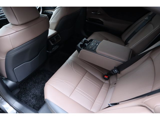 TOYOTA LEXUS ES300H 2023 Image 31