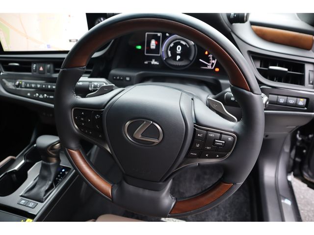 TOYOTA LEXUS ES300H 2023 Image 31