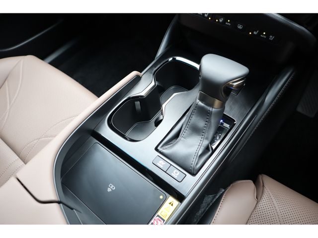 TOYOTA LEXUS ES300H 2023 Image 31