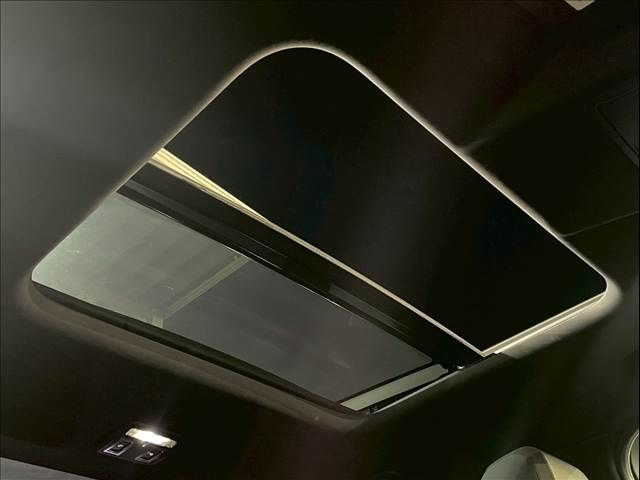 ROVER DISCOVERY 2018 Image 31