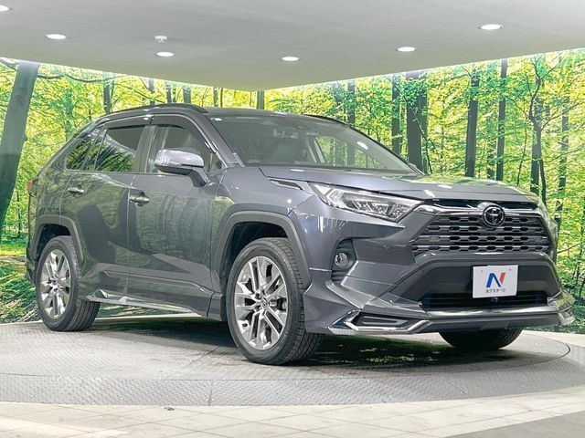 TOYOTA RAV4 4WD 2019 Image 31