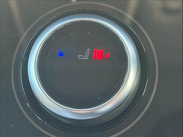 ROVER RANGE  EV 2019 Image 31