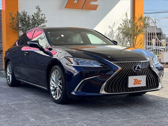 TOYOTA LEXUS ES300H 2020 Image 31
