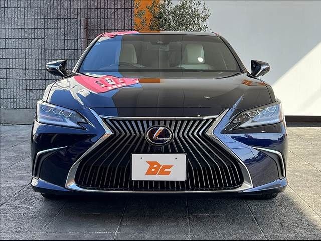 TOYOTA LEXUS ES300H 2020 Image 31