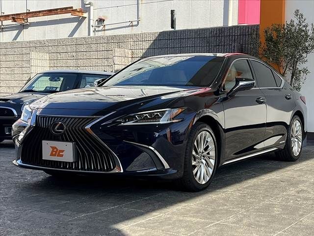 TOYOTA LEXUS ES300H 2020 Image 31