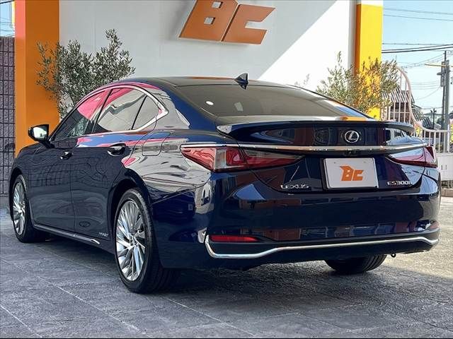 TOYOTA LEXUS ES300H 2020 Image 31