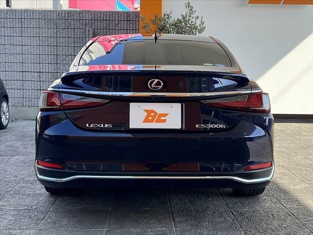 TOYOTA LEXUS ES300H 2020 Image 31