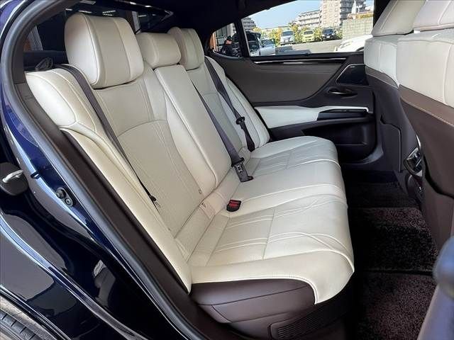 TOYOTA LEXUS ES300H 2020 Image 31