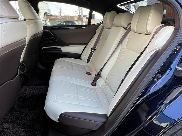 TOYOTA LEXUS ES300H 2020 Image 31