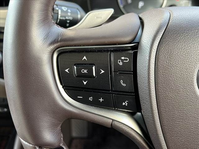 TOYOTA LEXUS ES300H 2020 Image 31