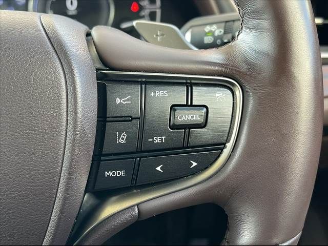 TOYOTA LEXUS ES300H 2020 Image 31